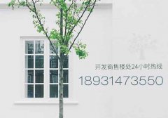 广东调控住宅用地市场，稳定房地产市场预期